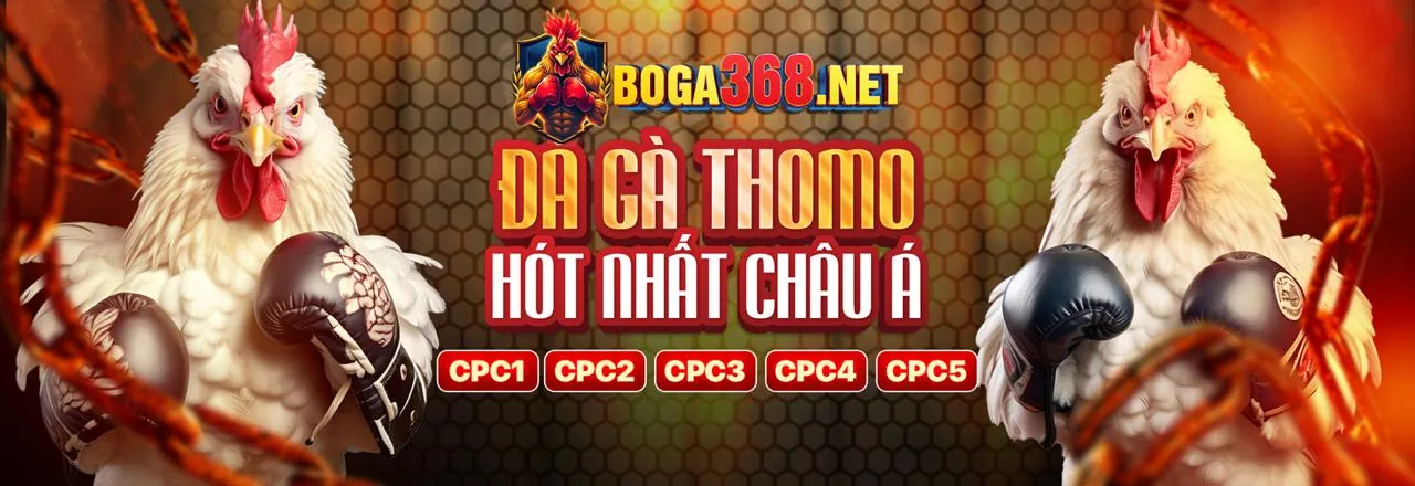 Hình ảnh chính của Blog kg88 Login