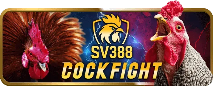 Cá cược thể thao kg88
